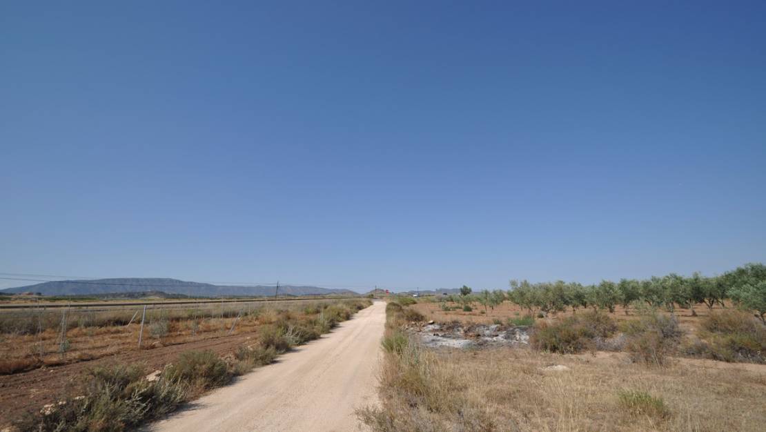 Venta - Land - Pinoso - Pinoso Centro