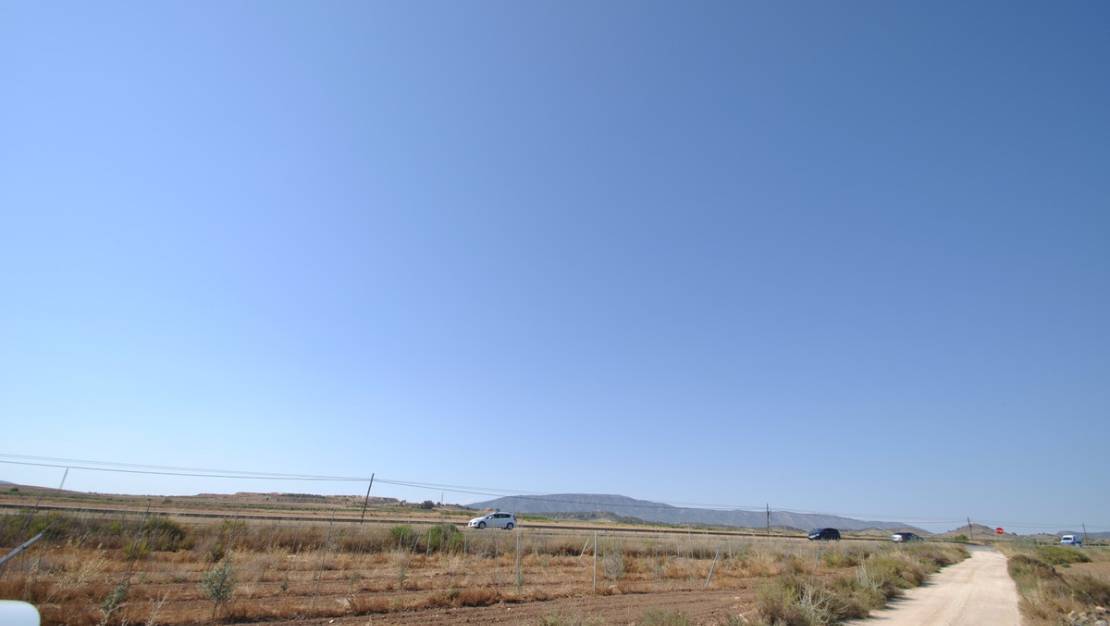 Venta - Land - Pinoso - Pinoso Centro