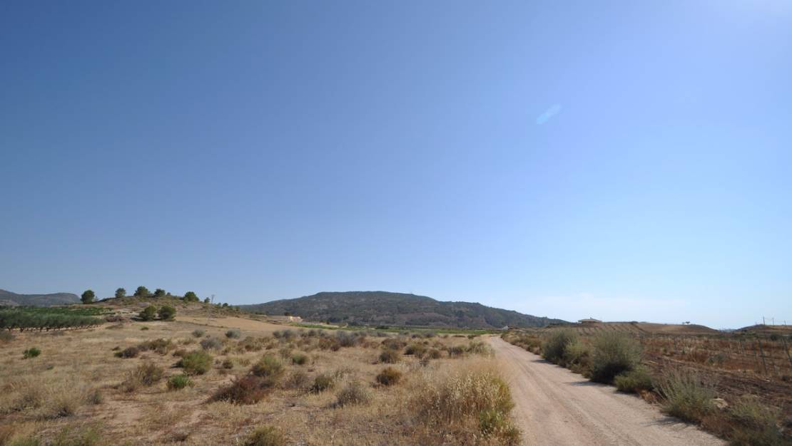 Venta - Land - Pinoso - Pinoso Centro