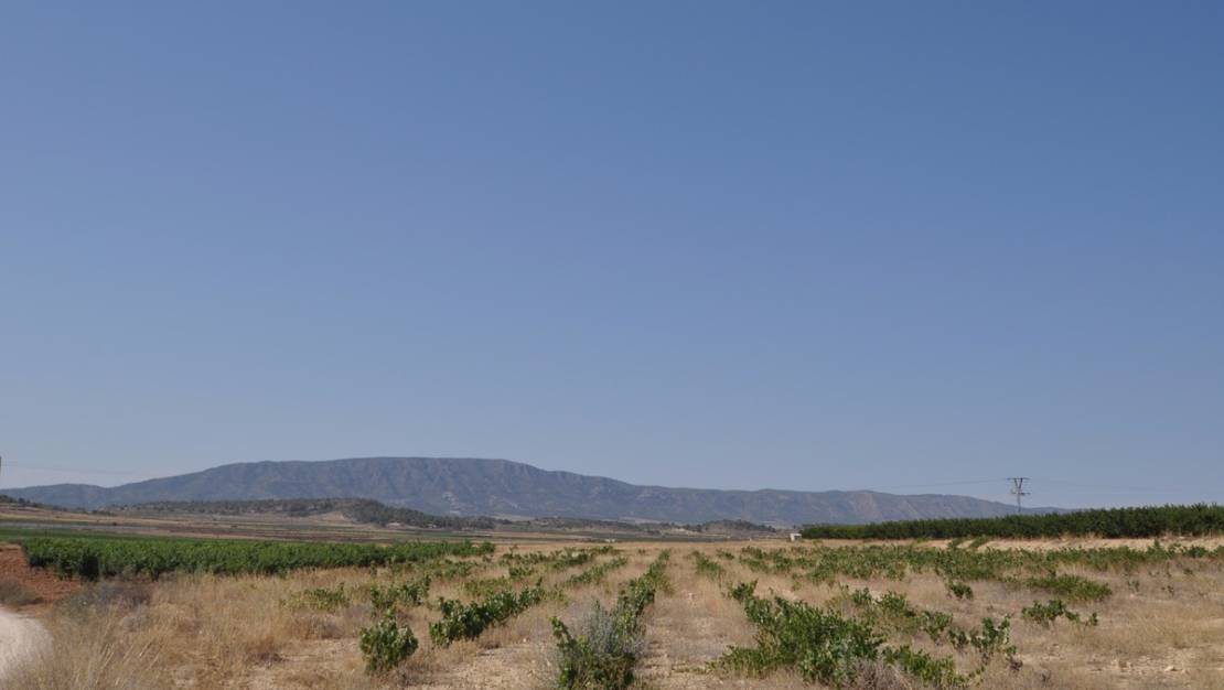 Venta - Land - Pinoso - Pinoso Centro