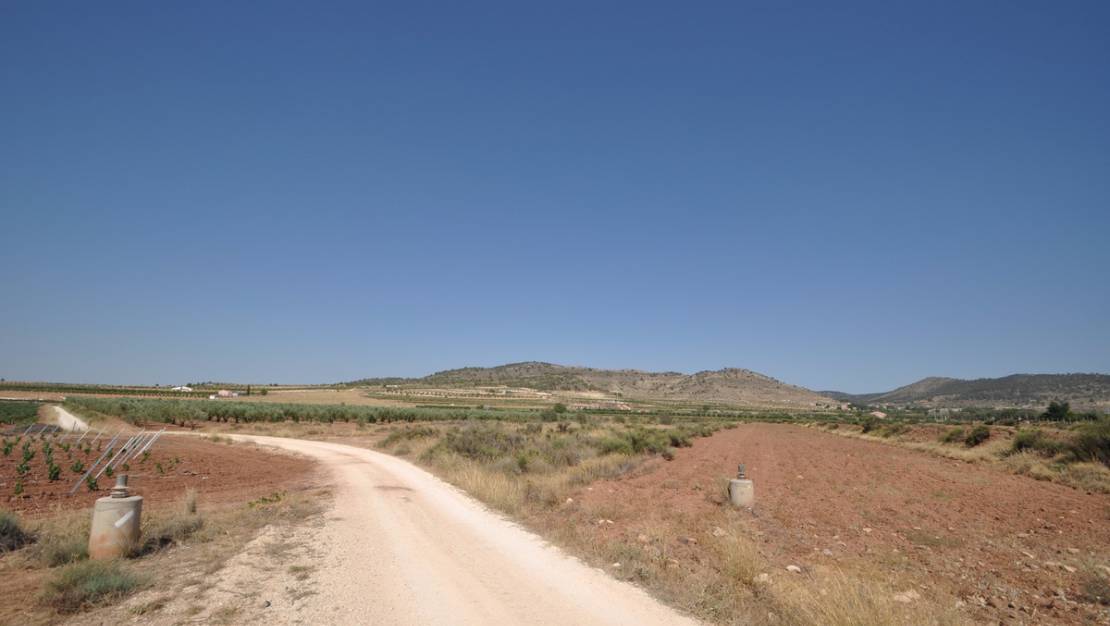 Venta - Land - Pinoso - Pinoso Centro