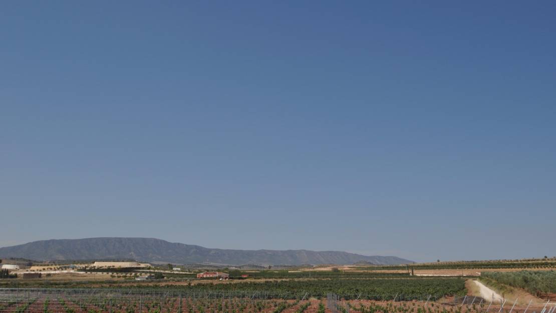 Venta - Land - Pinoso - Pinoso Centro