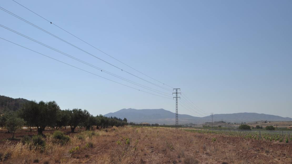 Venta - Land - Pinoso - Pinoso Centro