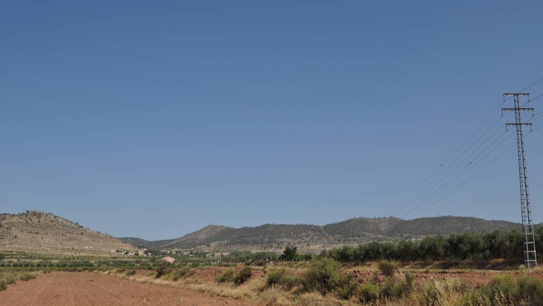 Venta - Land - Pinoso - Pinoso Centro