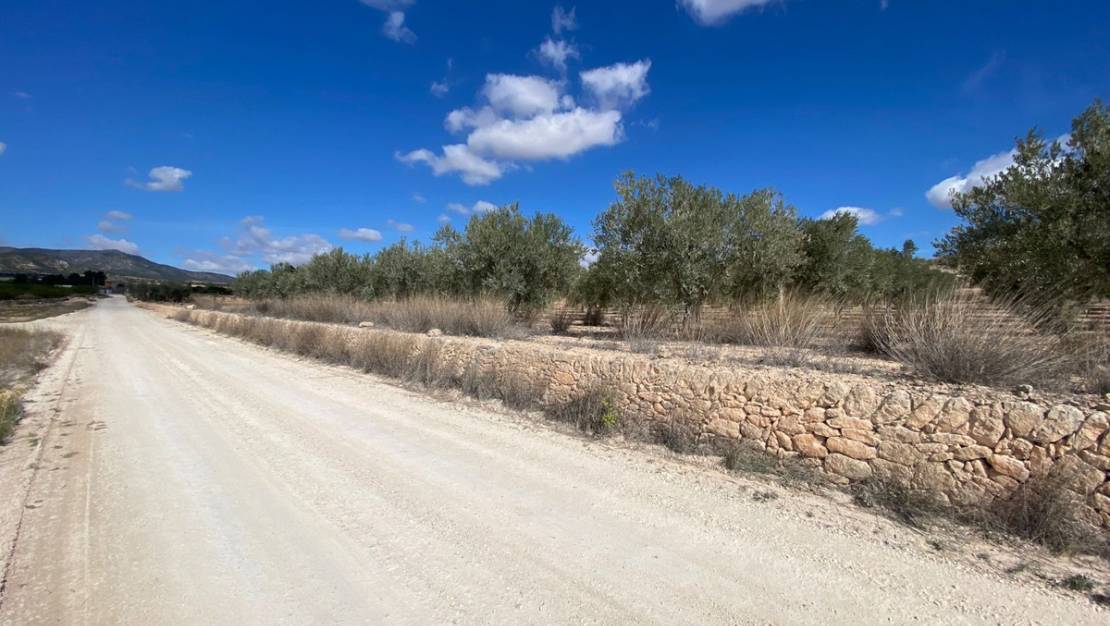 Venta - Land - Pinoso - Pinoso Centro