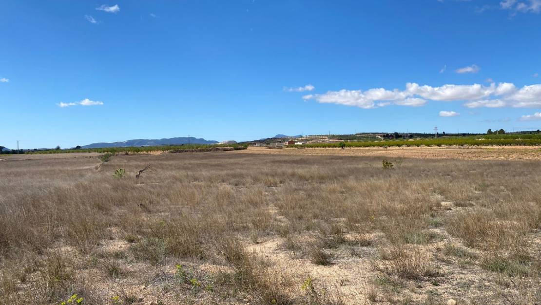 Venta - Land - Pinoso - Pinoso Centro