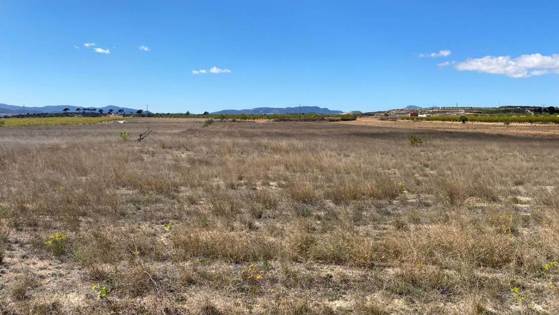 Venta - Land - Pinoso - Pinoso Centro