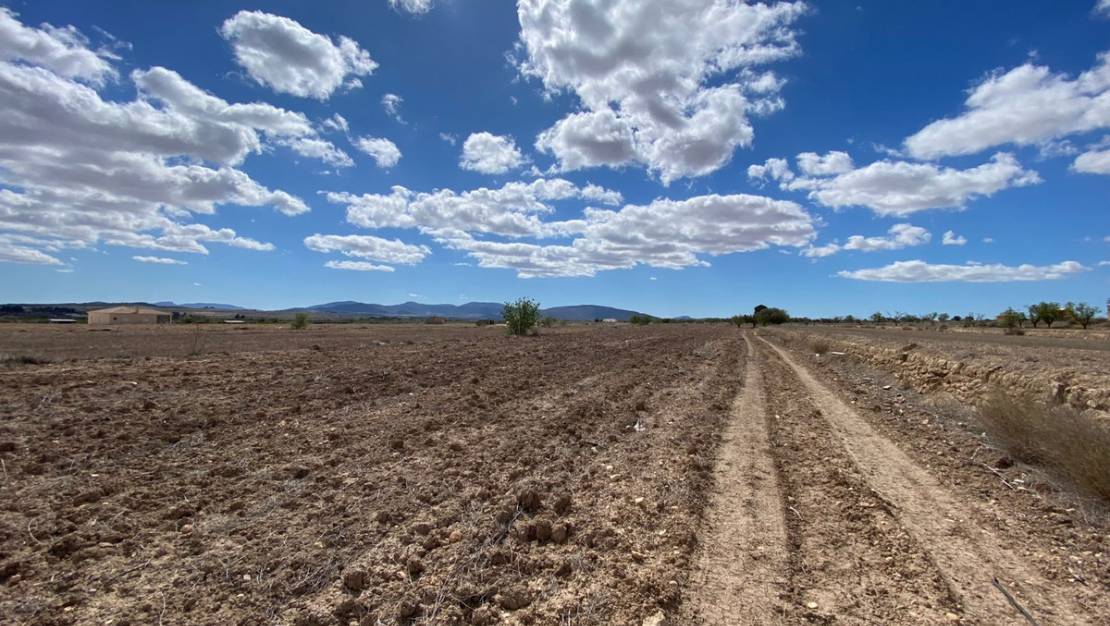 Venta - Land - Pinoso - Pinoso Centro