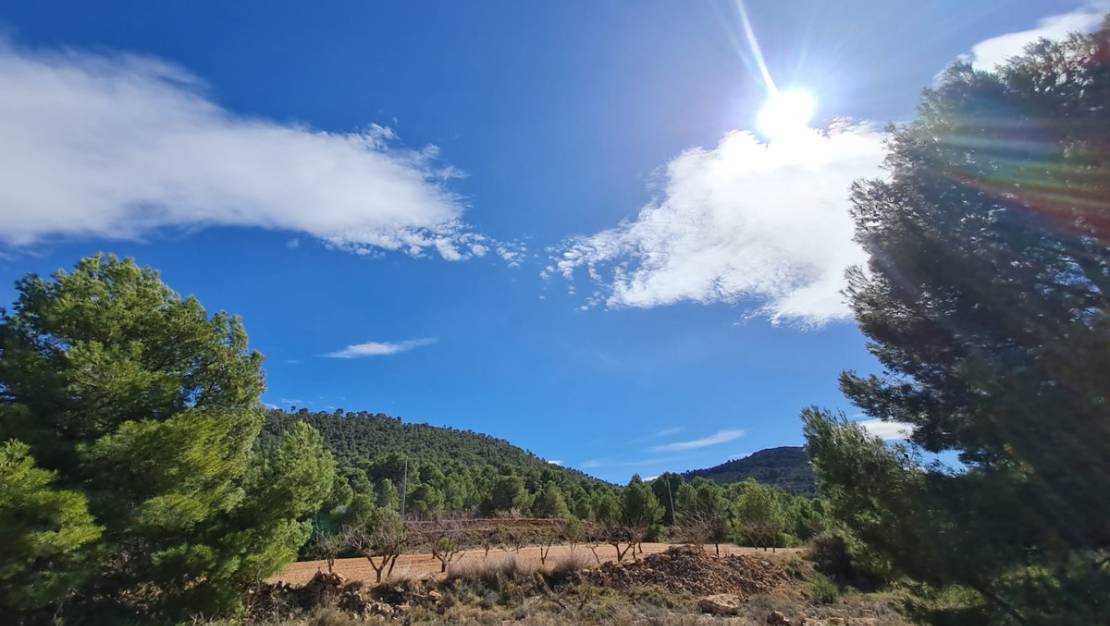 Venta - Land - Pinoso - Pinoso Centro