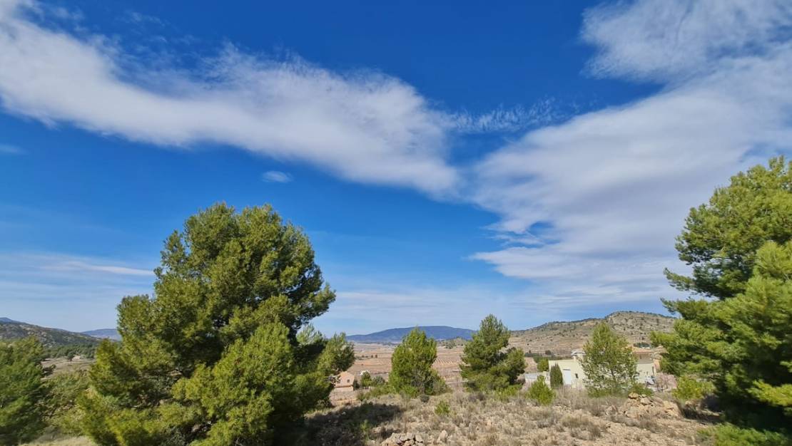 Venta - Land - Pinoso - Pinoso Centro