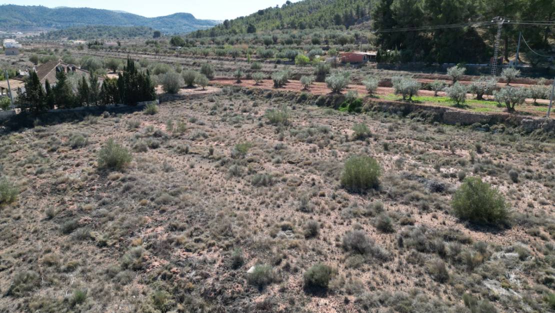 Venta - Land - Pinoso - Pinoso Centro