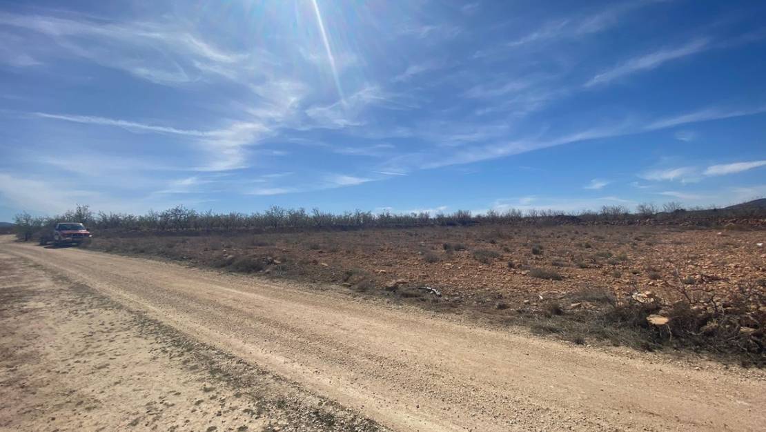 Venta - Land - Pinoso - Pinoso Centro