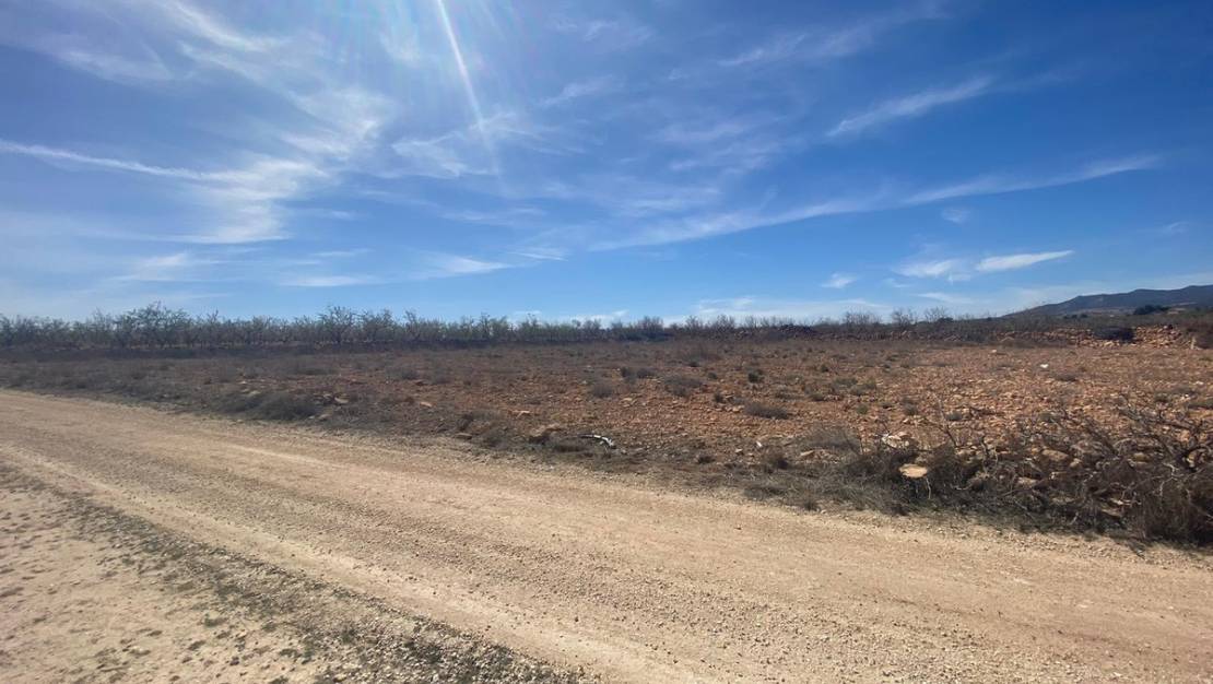 Venta - Land - Pinoso - Pinoso Centro