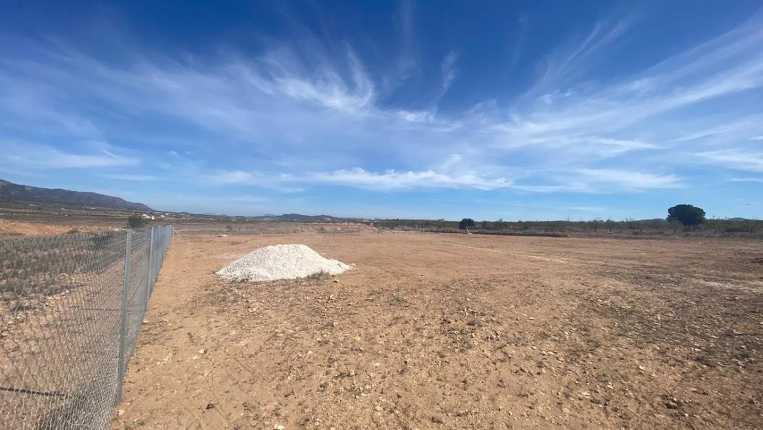 Venta - Land - Pinoso - Pinoso Centro