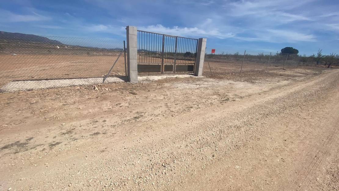 Venta - Land - Pinoso - Pinoso Centro