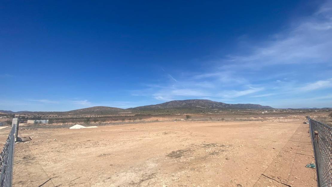 Venta - Land - Pinoso - Pinoso Centro