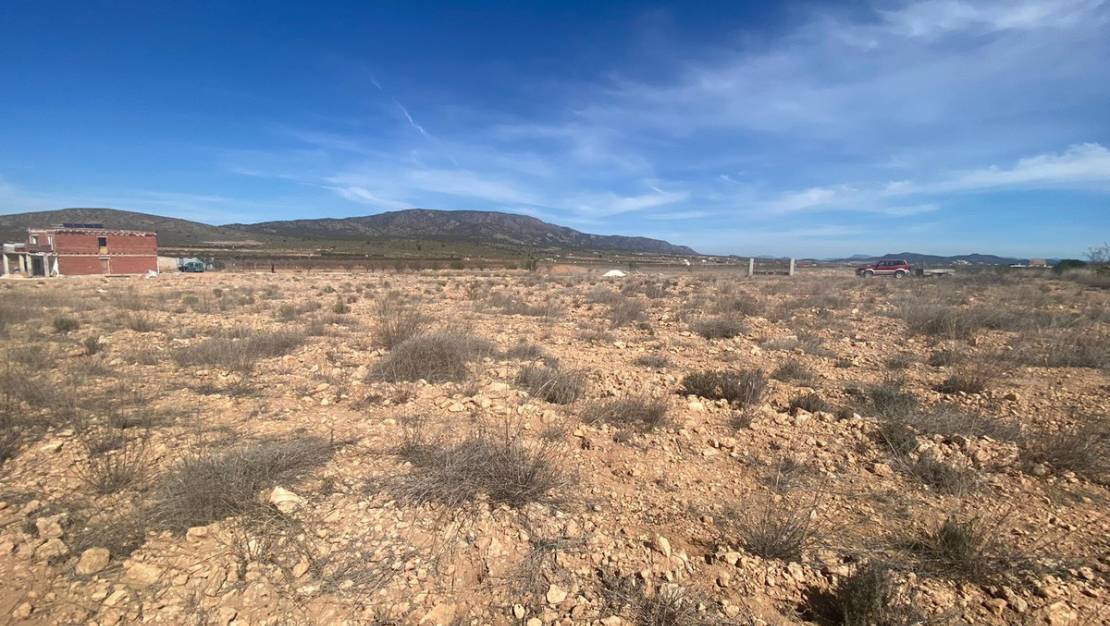 Venta - Land - Pinoso - Pinoso Centro