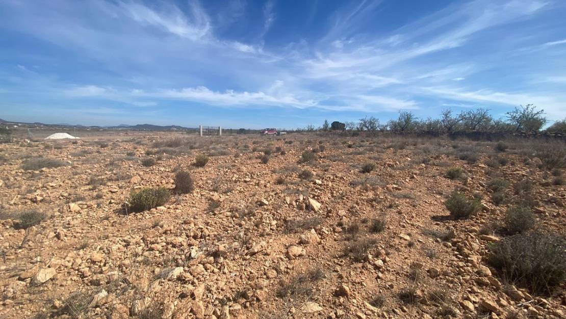 Venta - Land - Pinoso - Pinoso Centro