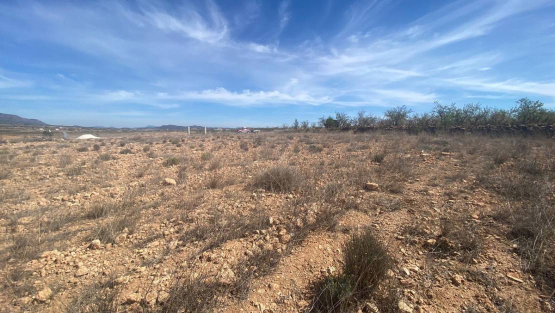 Venta - Land - Pinoso - Pinoso Centro