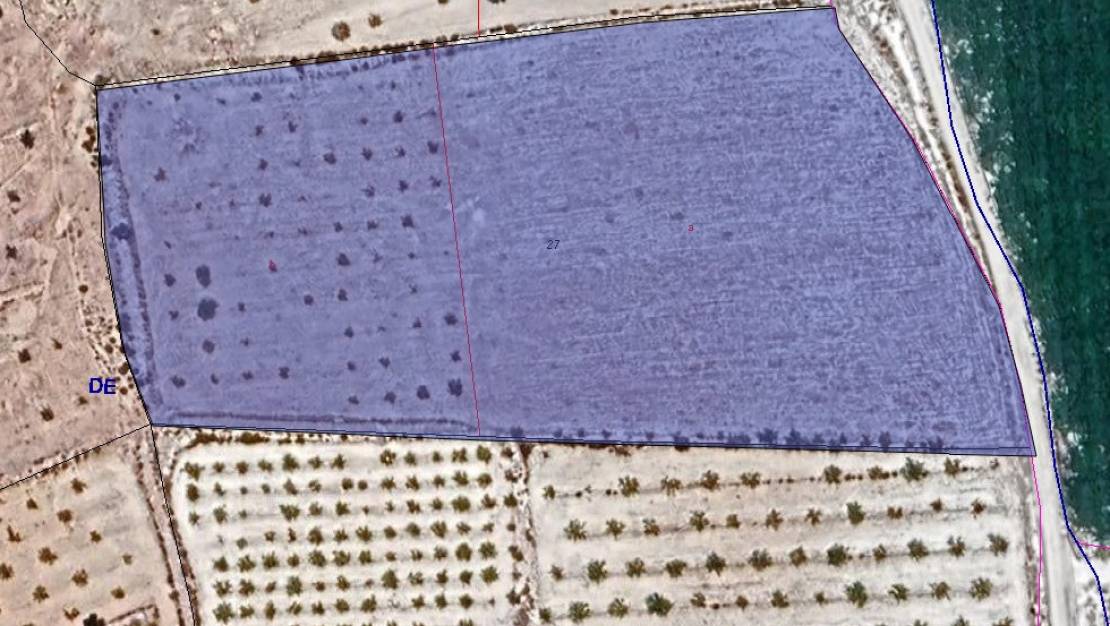 Venta - Land - Pinoso - Pinoso Centro