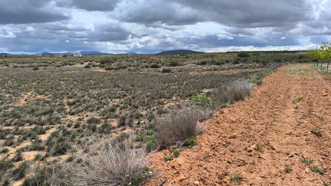 Venta - Land - Pinoso - Pinoso Centro