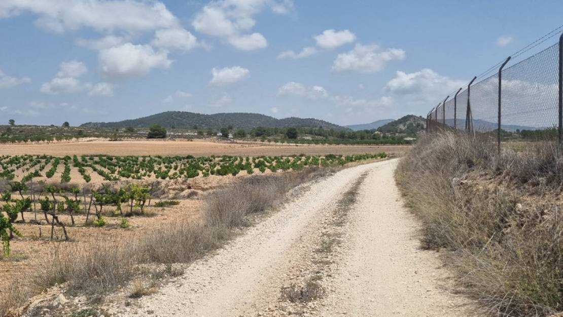 Venta - Land - Pinoso - Pinoso Centro