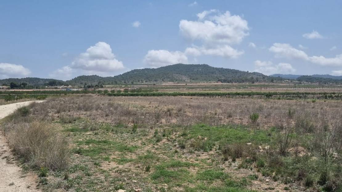 Venta - Land - Pinoso - Pinoso Centro