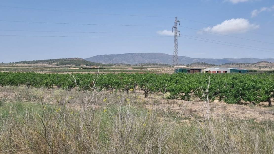 Venta - Land - Pinoso - Pinoso Centro