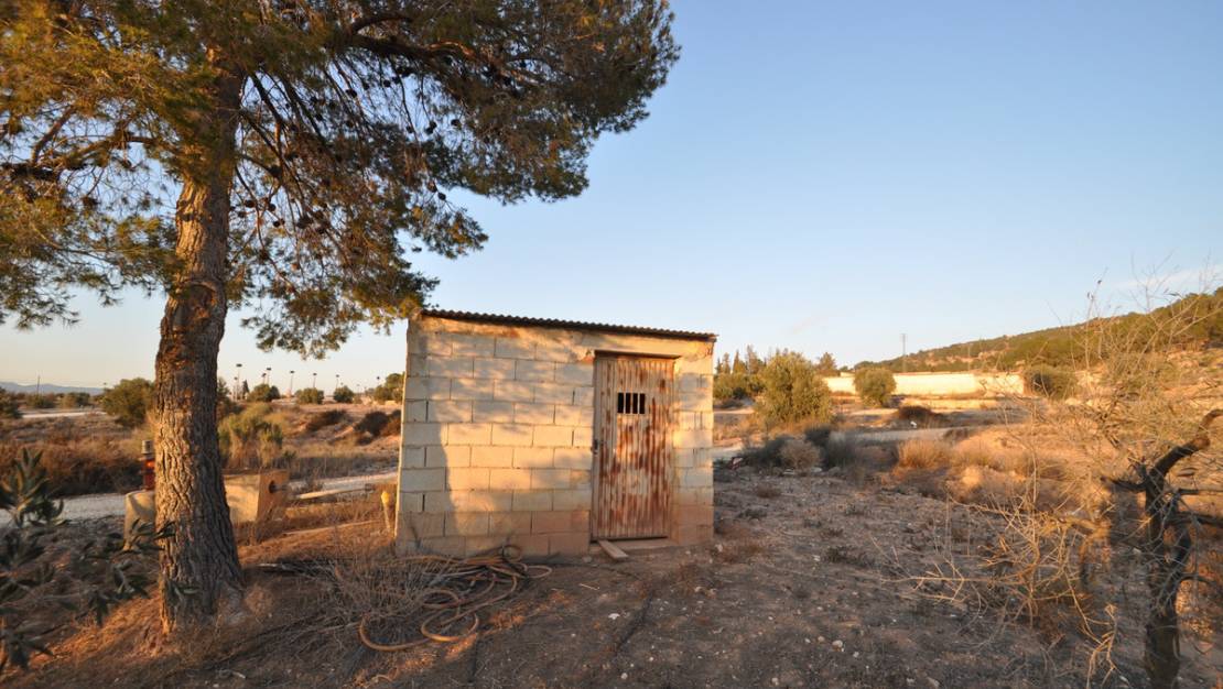 Venta - Land - Pinoso - Pinoso Centro