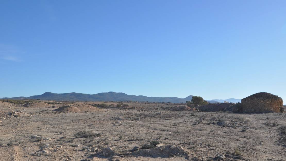 Venta - Land - Pinoso - Pinoso Centro