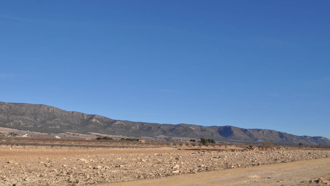 Venta - Land - Pinoso - Pinoso Centro