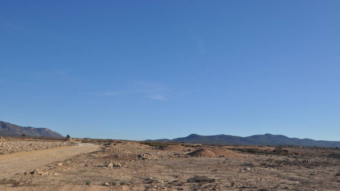 Venta - Land - Pinoso - Pinoso Centro