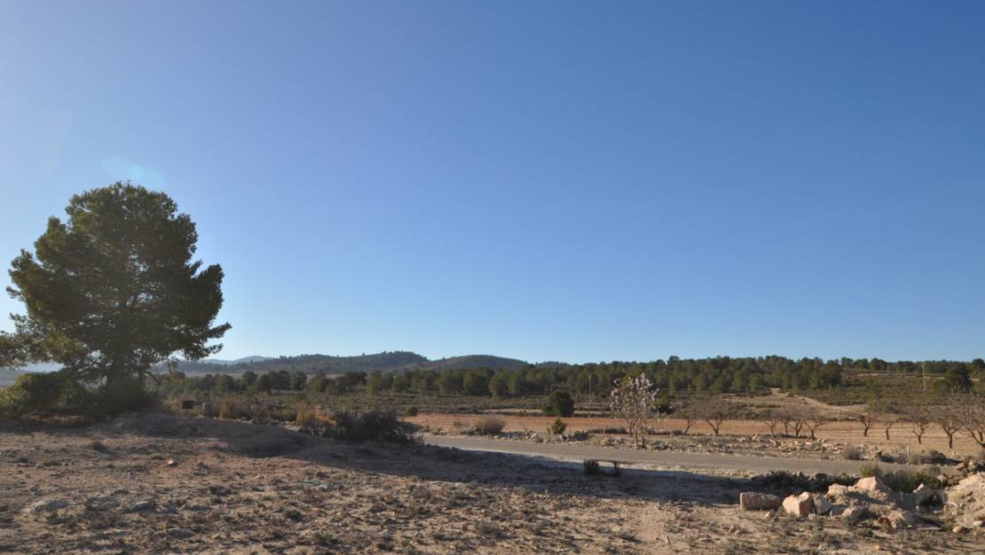 Venta - Land - Pinoso - Pinoso Centro