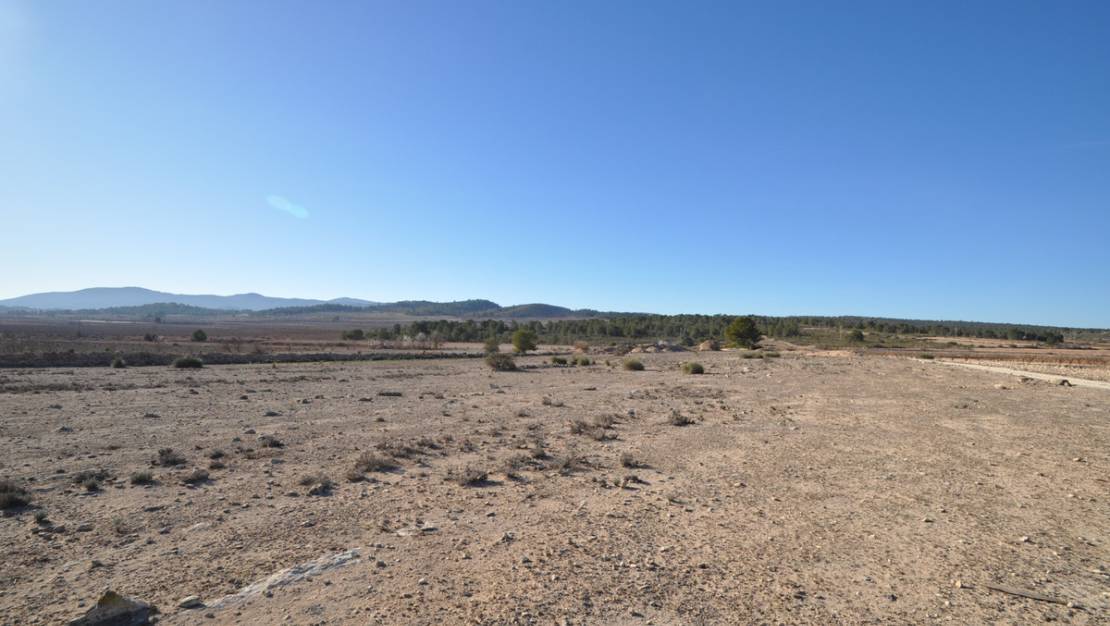 Venta - Land - Pinoso - Pinoso Centro