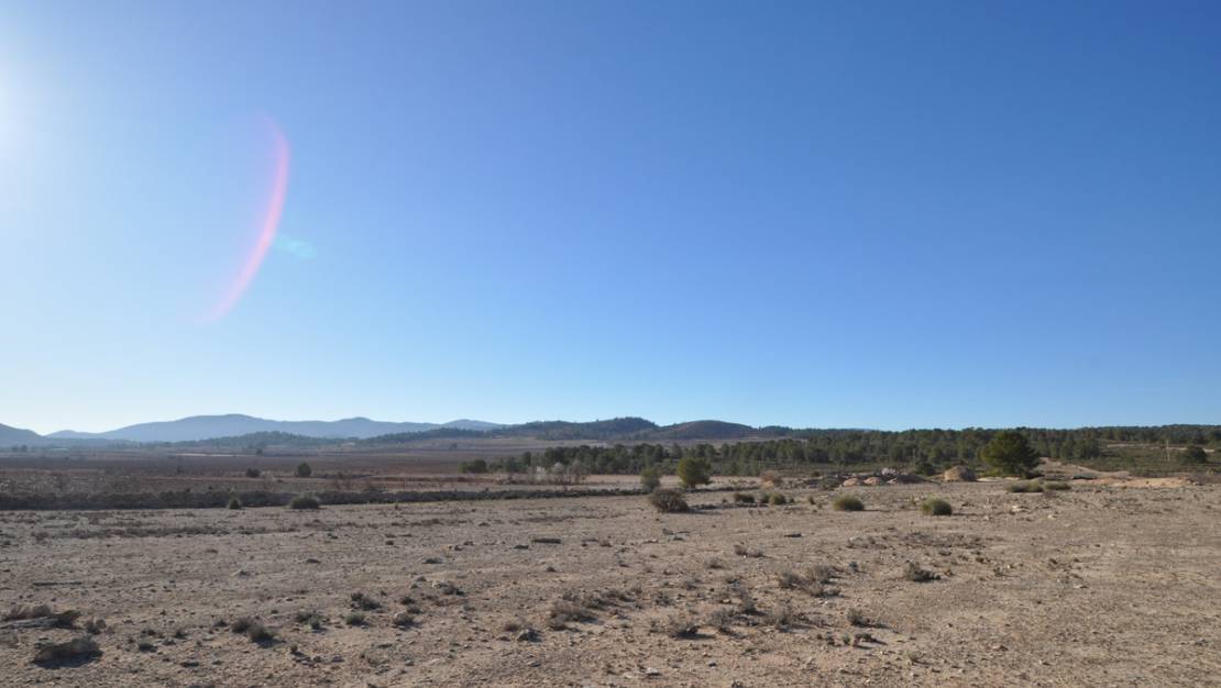 Venta - Land - Pinoso - Pinoso Centro