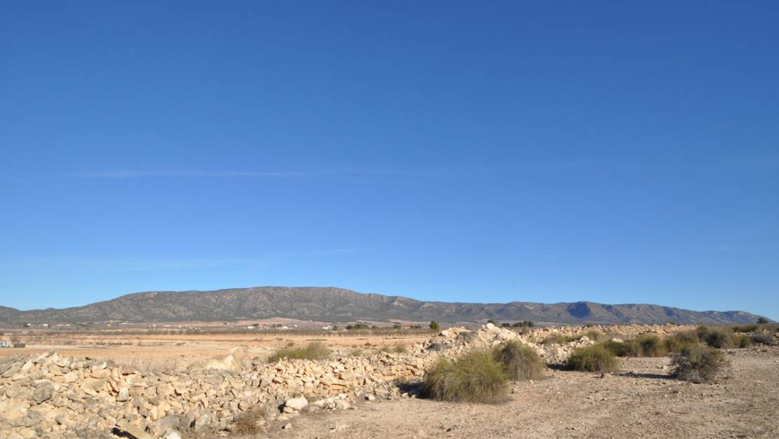 Venta - Land - Pinoso - Pinoso Centro