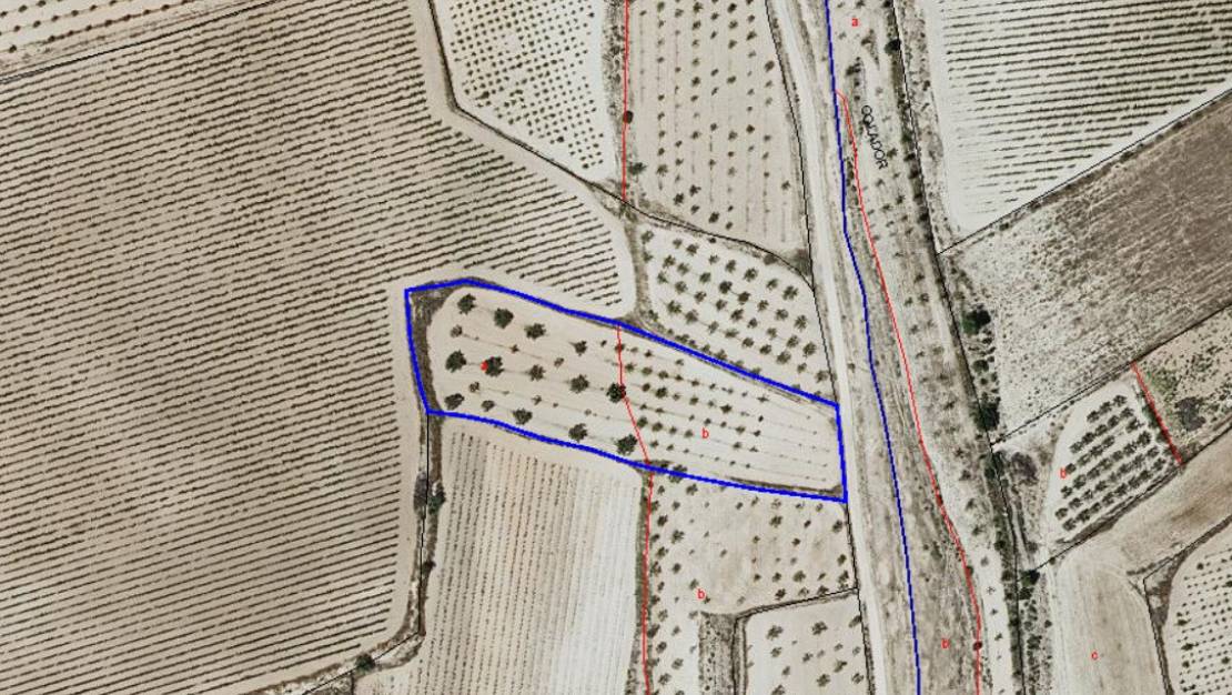 Venta - Land - Pinoso - Pinoso Centro