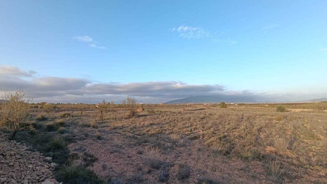 Venta - Land - Pinoso - Pinoso Centro