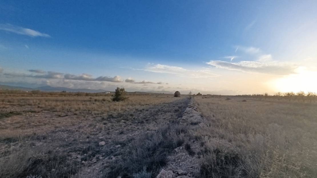 Venta - Land - Pinoso - Pinoso Centro