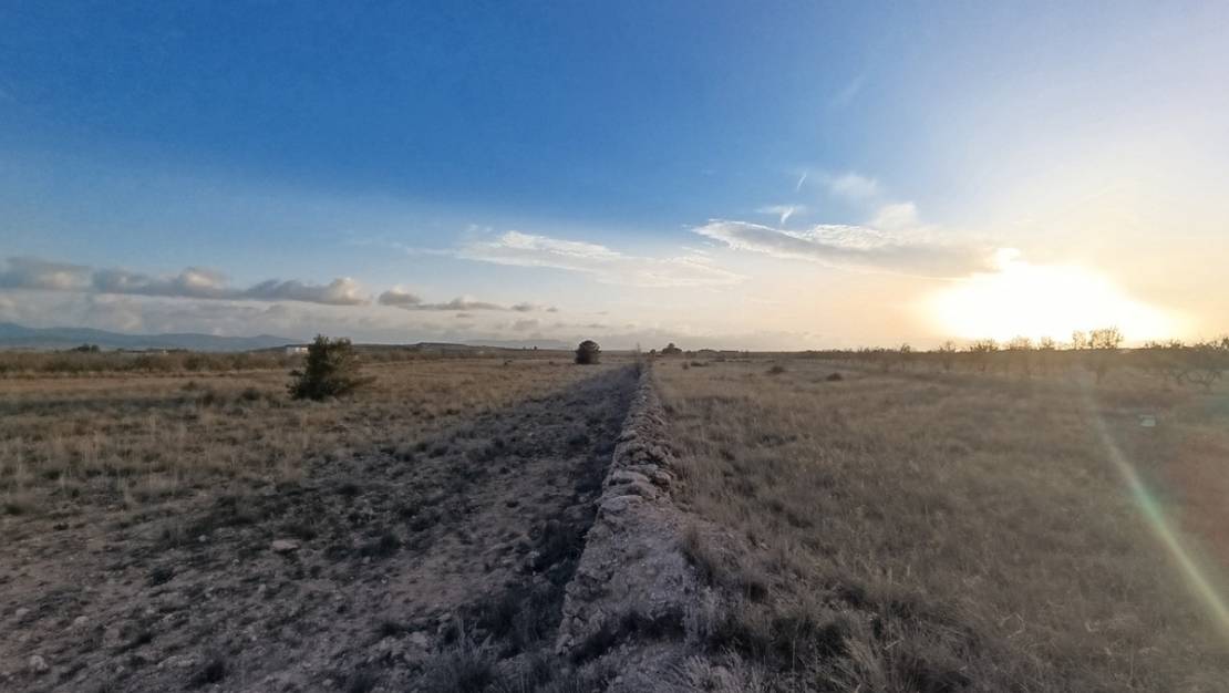 Venta - Land - Pinoso - Pinoso Centro
