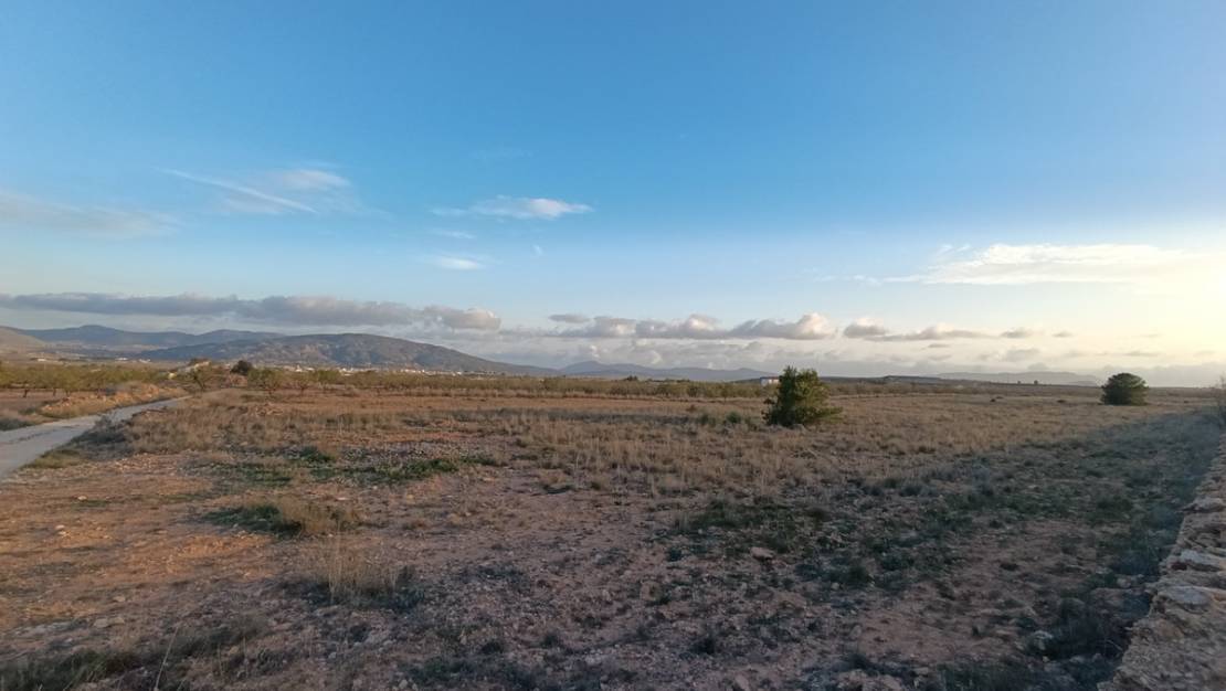 Venta - Land - Pinoso - Pinoso Centro