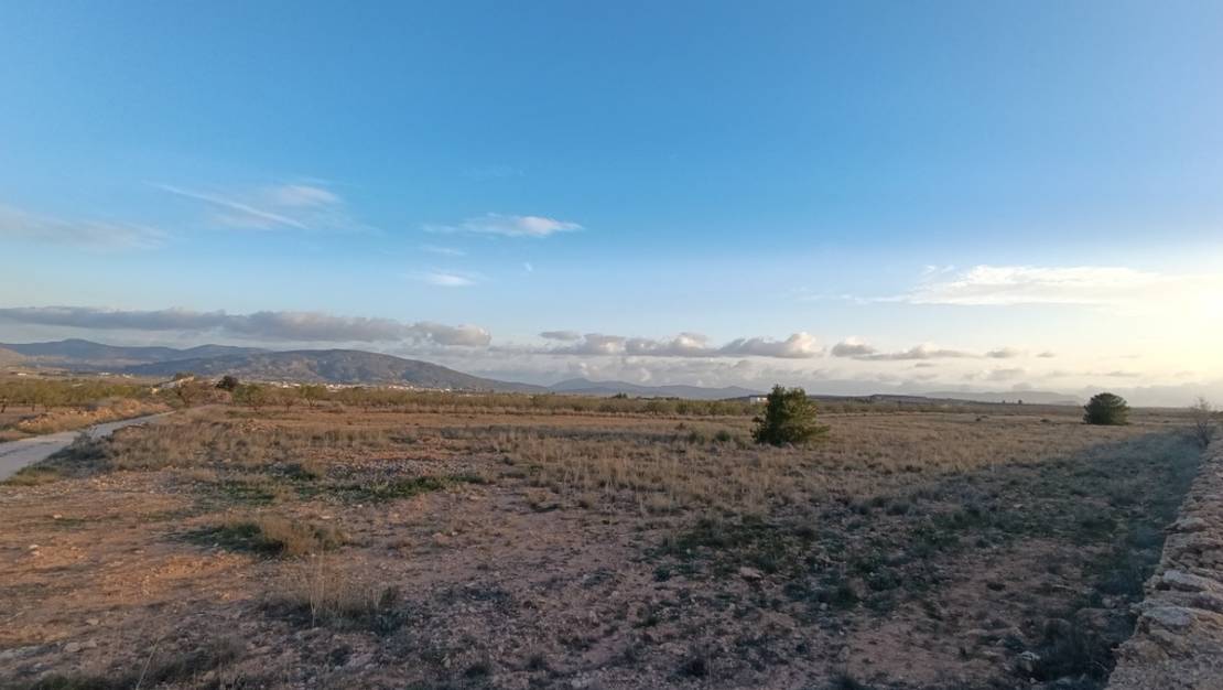 Venta - Land - Pinoso - Pinoso Centro