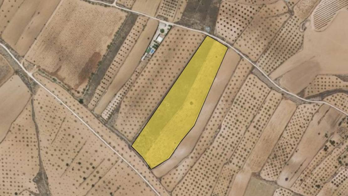 Venta - Land - Pinoso - Pinoso Centro