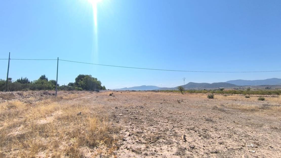 Venta - Land - Pinoso - Pinoso Centro