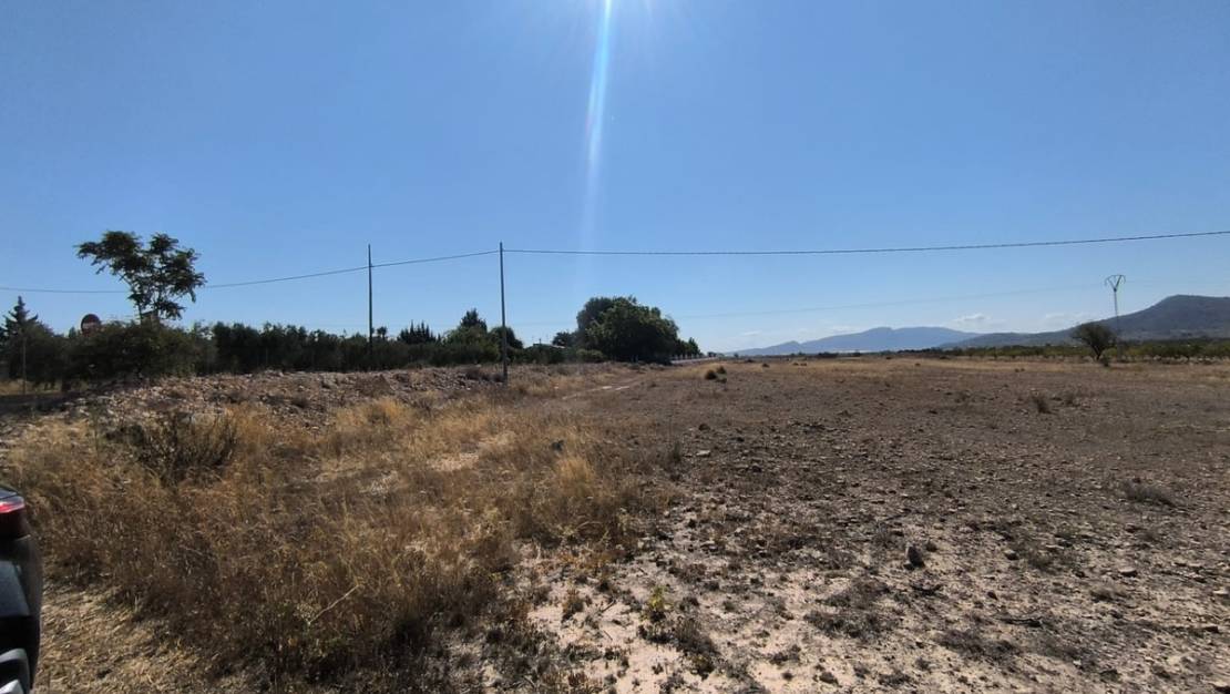 Venta - Land - Pinoso - Pinoso Centro