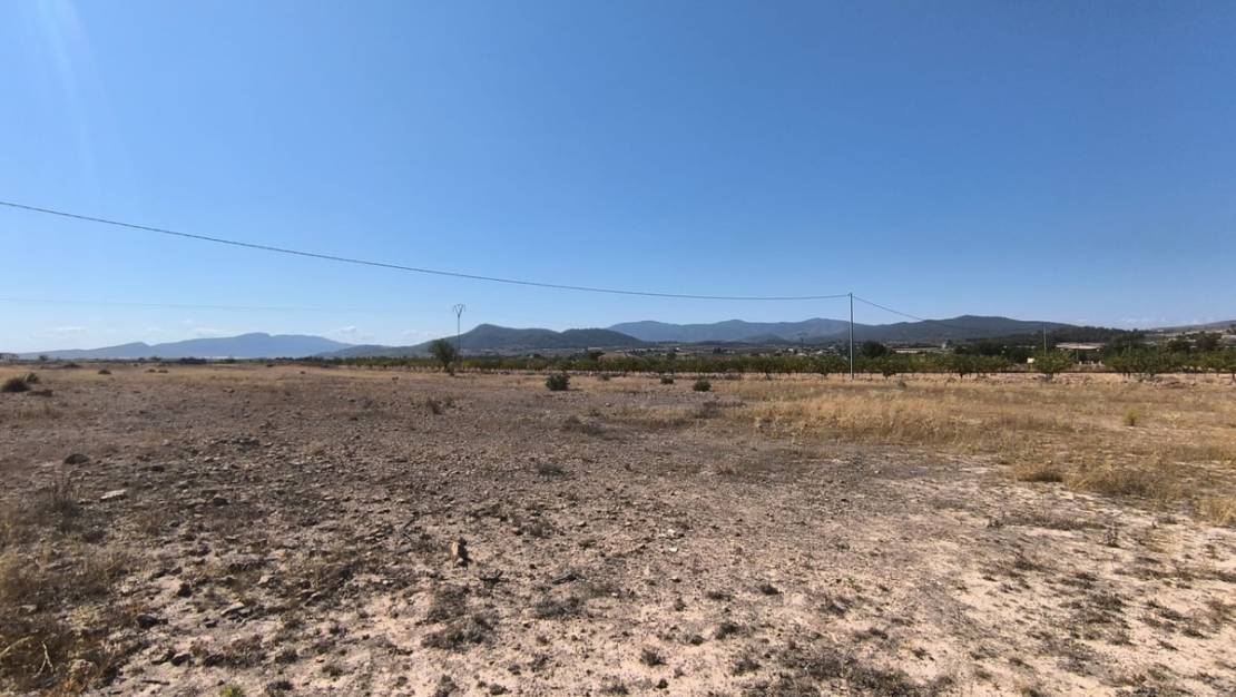 Venta - Land - Pinoso - Pinoso Centro