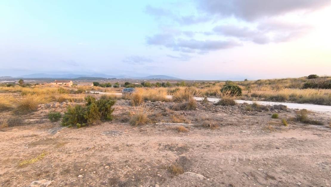 Venta - Land - Pinoso - Pinoso Centro