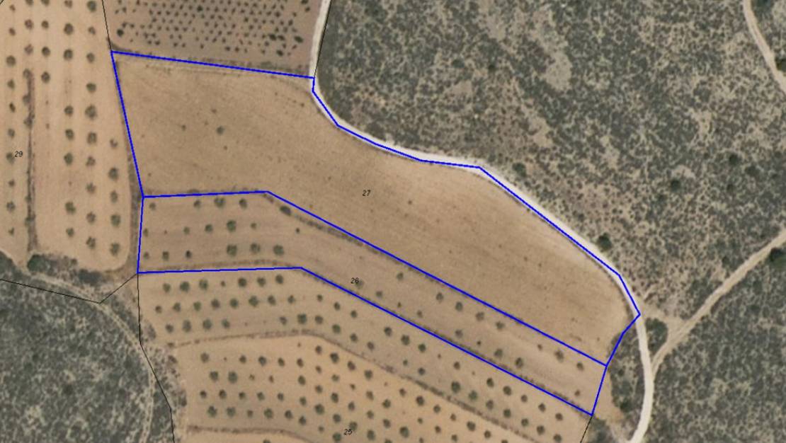 Venta - Land - Pinoso - Pinoso Centro