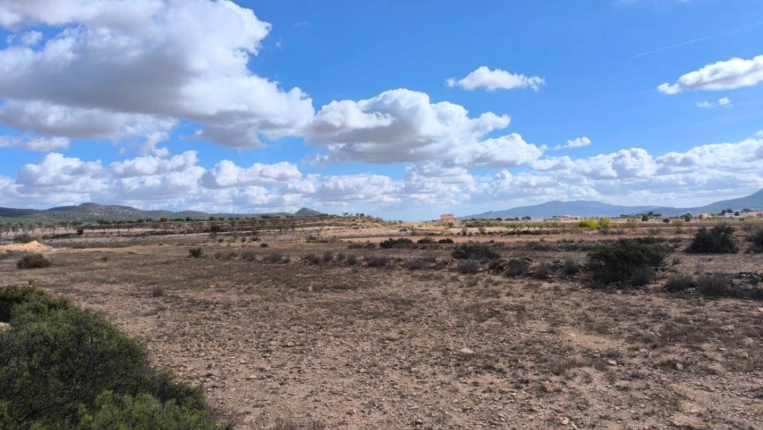 Venta - Land - Pinoso - Pinoso Centro