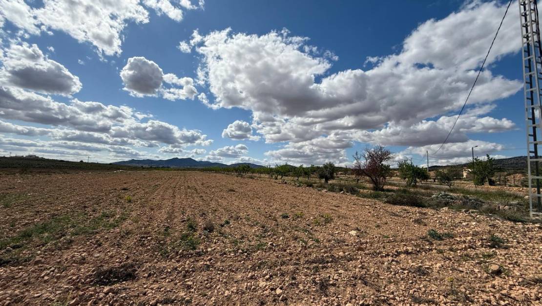 Venta - Land - Pinoso - Pinoso Centro